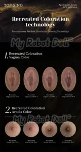 Sinodoll Sex Doll Cheatsheet: Full List Of Sex Dolls 15 My Robot Doll Coloration Technology