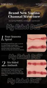 Sinodoll Sex Doll Cheatsheet: Full List Of Sex Dolls 14 My Robot Doll Sino Doll Vagina Channel Structure