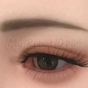 Painted Eyebrows