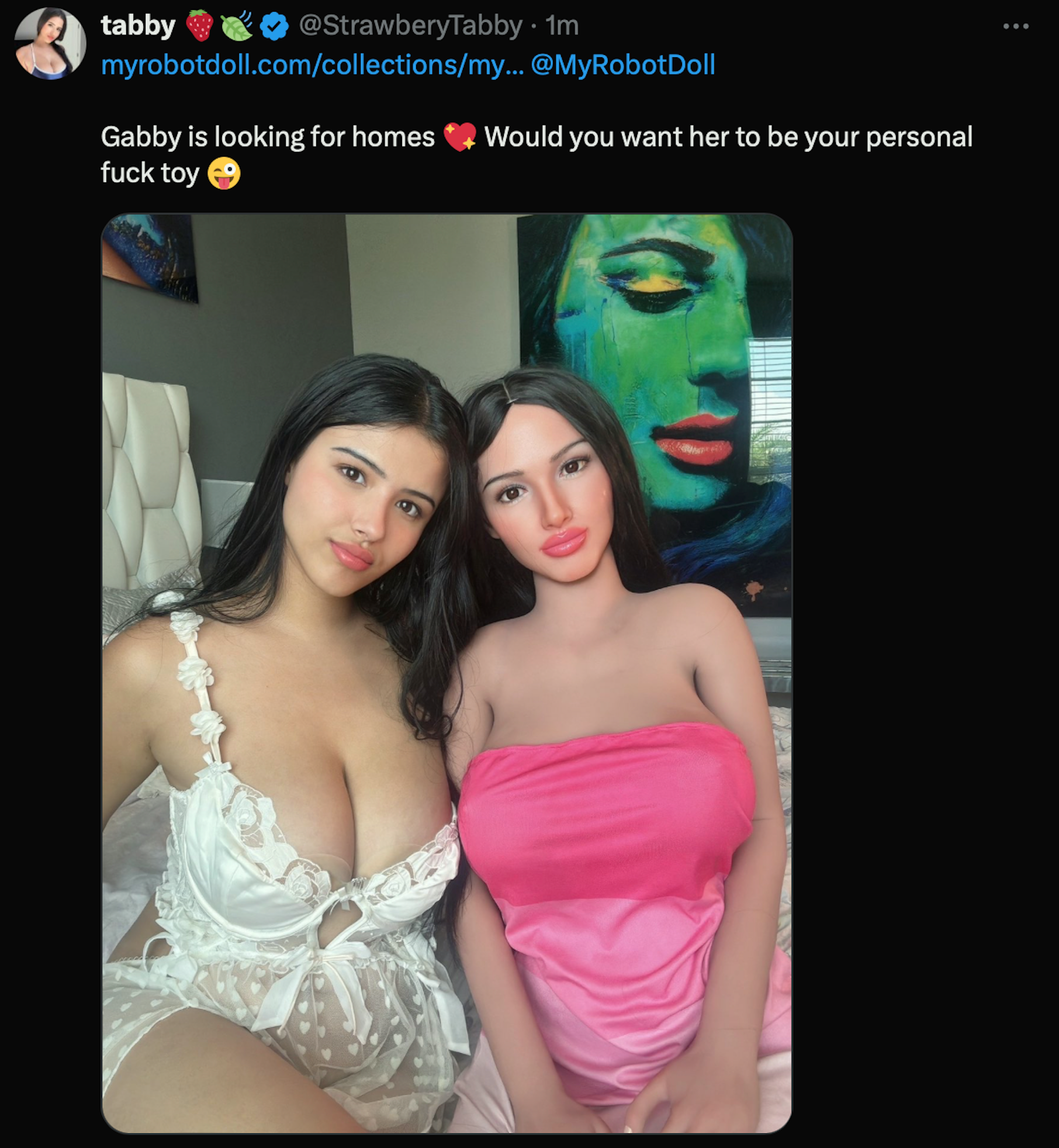 Strawberrytabby Sex Doll My Robot Doll First Post