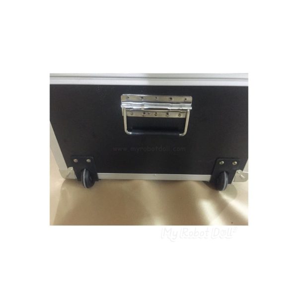 Customizable Discreet Flight Case for Sex Doll Storage - Image 4