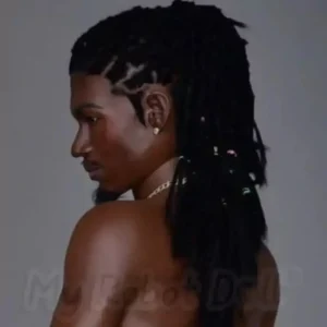 Dreadlocks Hairstyle #2