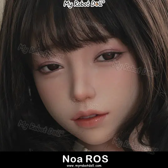 Noa ROS