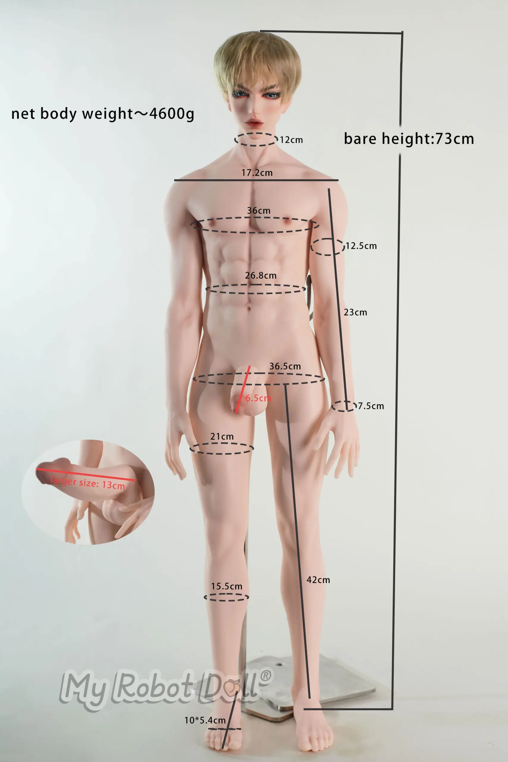 Body Picture