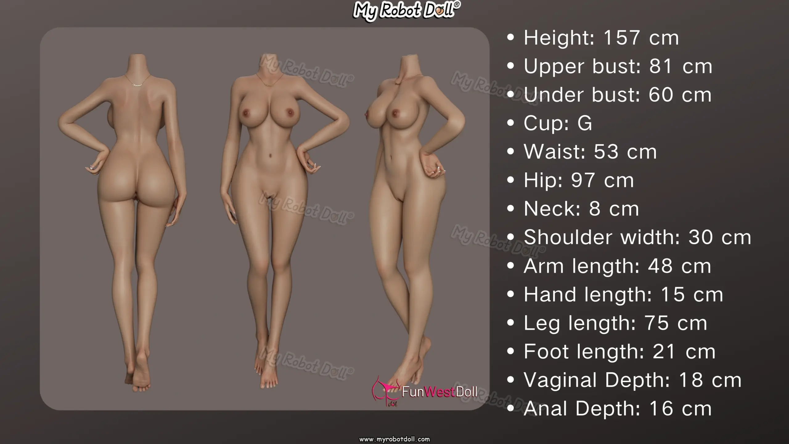 Body Picture
