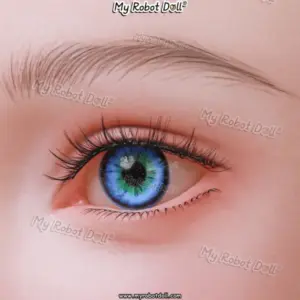 Painted Eyebrows