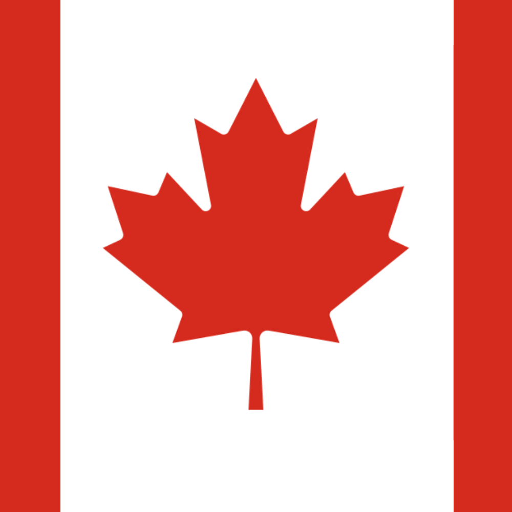 Fast Delivery Sex Dolls Canada