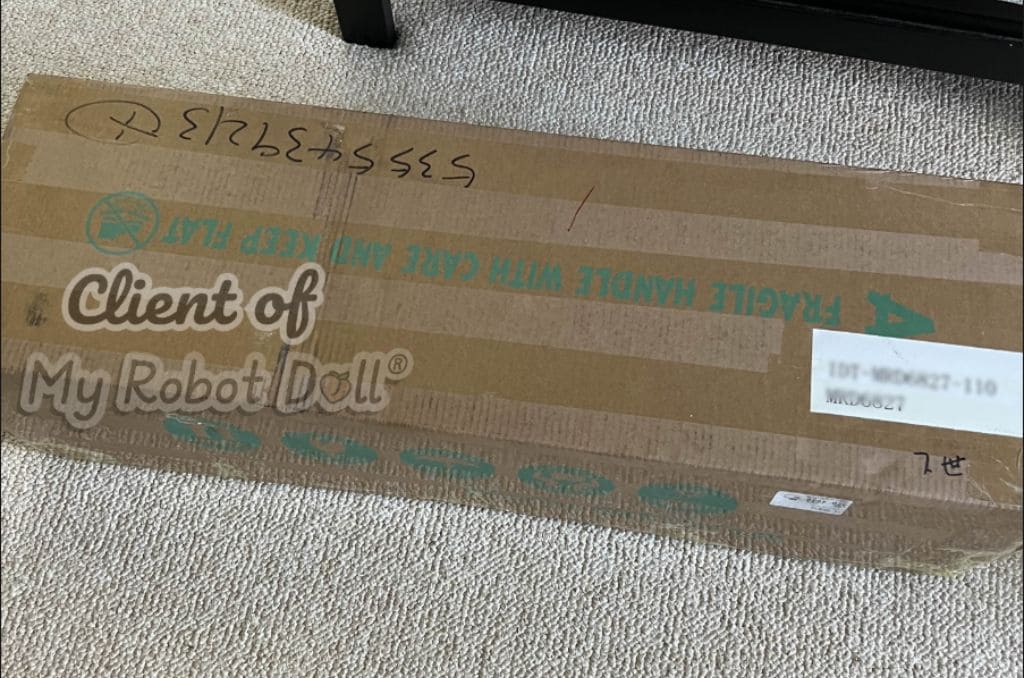 Packaging-Unboxing-Anime-Sell-Doll-Irokebijin