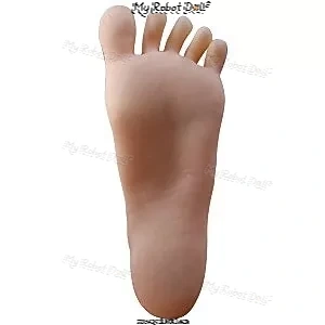 Regular (Cannot Stand)