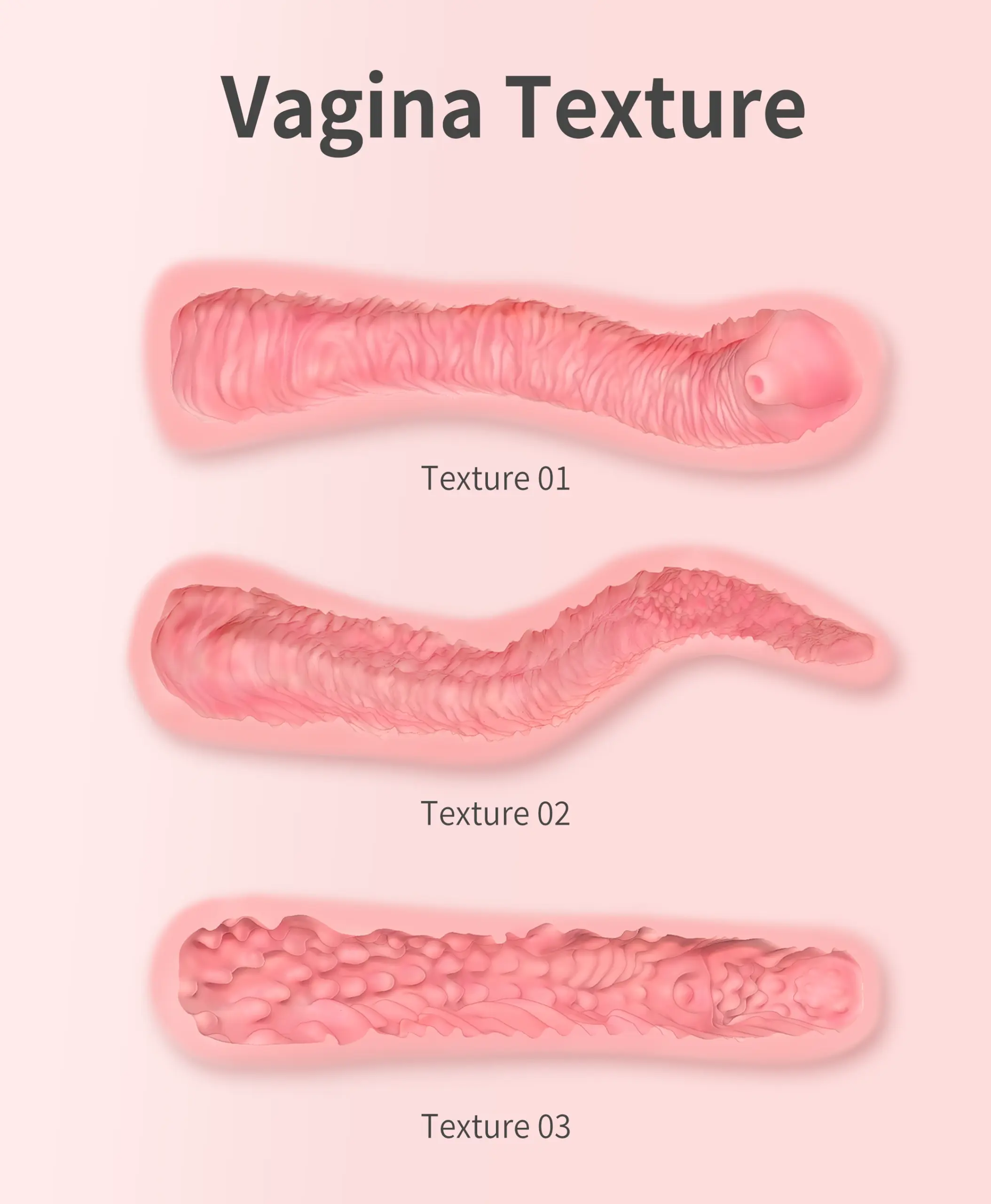 Fanreal Vagina Texture