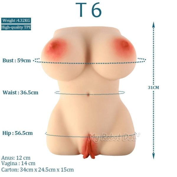 🇺🇸 Jarliet Sex Toy T6-Torso Fair - In Stock USA - Image 2