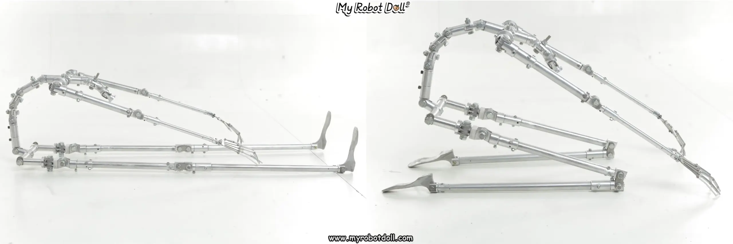 XYcolo aluminium skeleton 2