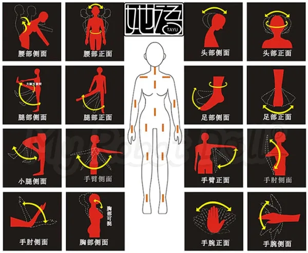 TAYU Doll Joint Movements