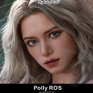 Polly-ROS