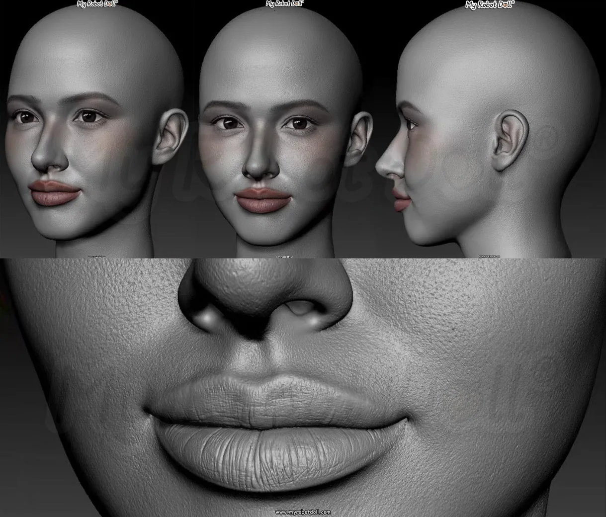 Strawberry Tabby head mold