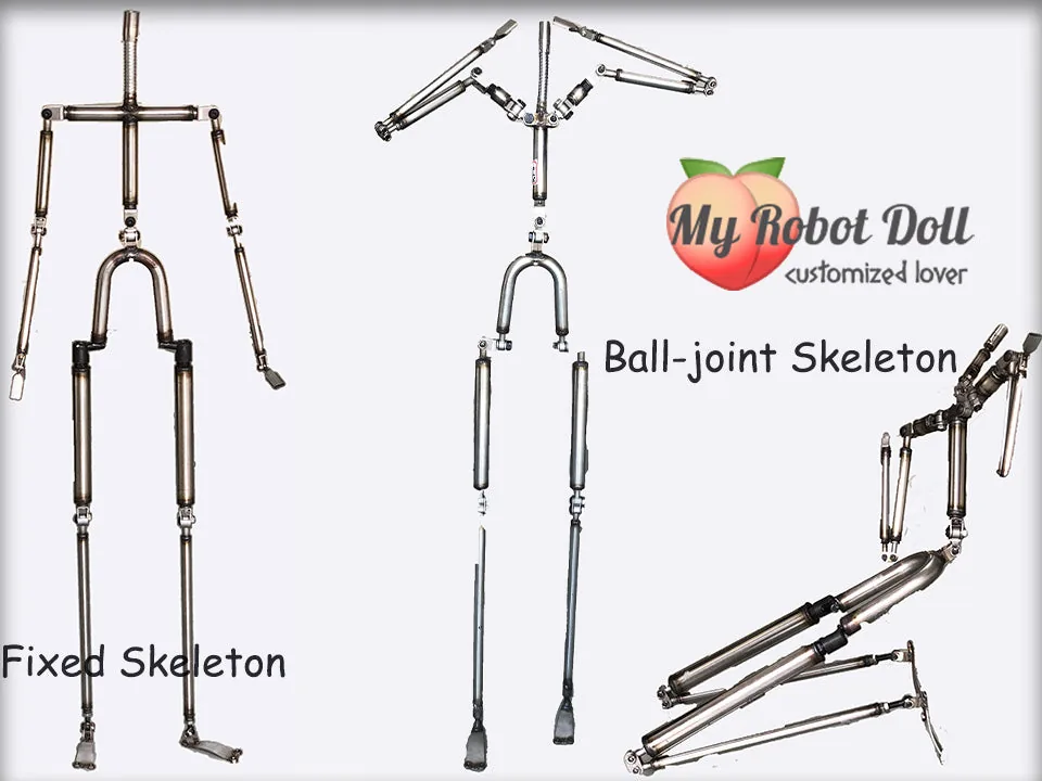 Myrobotdoll.com Which Sex Doll Brand Offers The Most Custom Options Skeleton Comparison