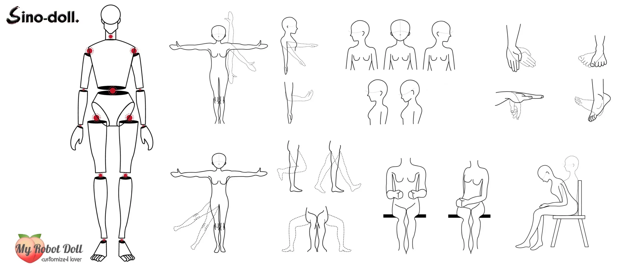 Myrobotdoll.com Sino-Doll Sex Dolls Bodies Capabilities