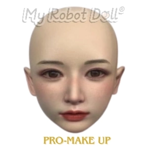 Pro Makeup