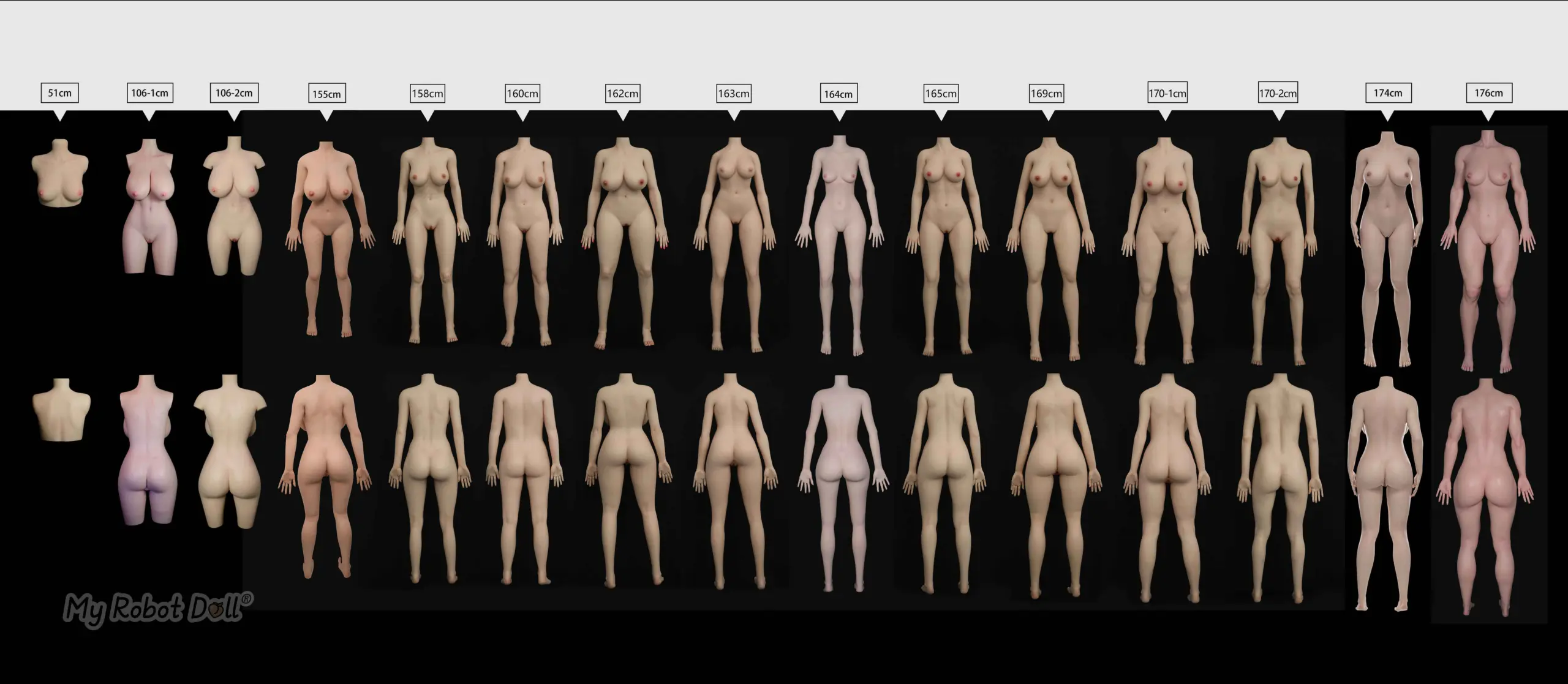 Top Fire Doll Body Types Chart - All Available Sizes