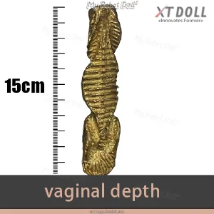 15cm