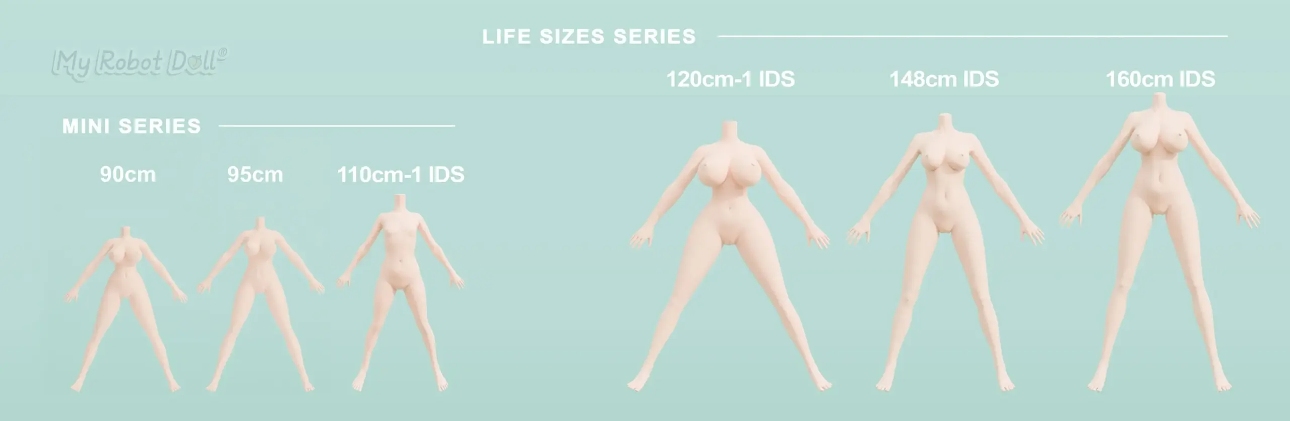 Irokebijin Silicone Body List – Sizes and Measurements