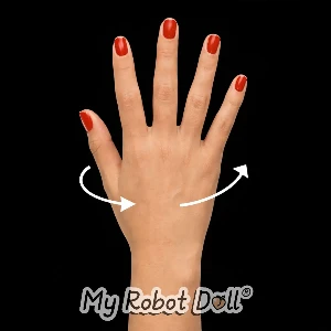 Rotatable Wrist