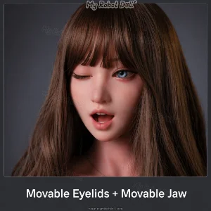 ROS Head with Movable Eyelids and Movable Jaw