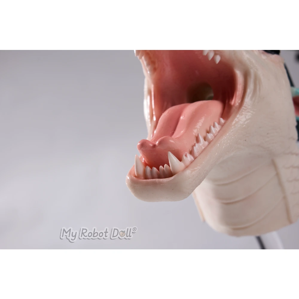 Mrl Sex Doll Dragon Head Aurora 22.5Cm / 8.9&Quot; Full Silicone 8 Mrl Sex Doll Dragon Head Aurora 22.5Cm / 8.9&Quot; Full Silicone - Image 8