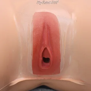 Fixed Vagina