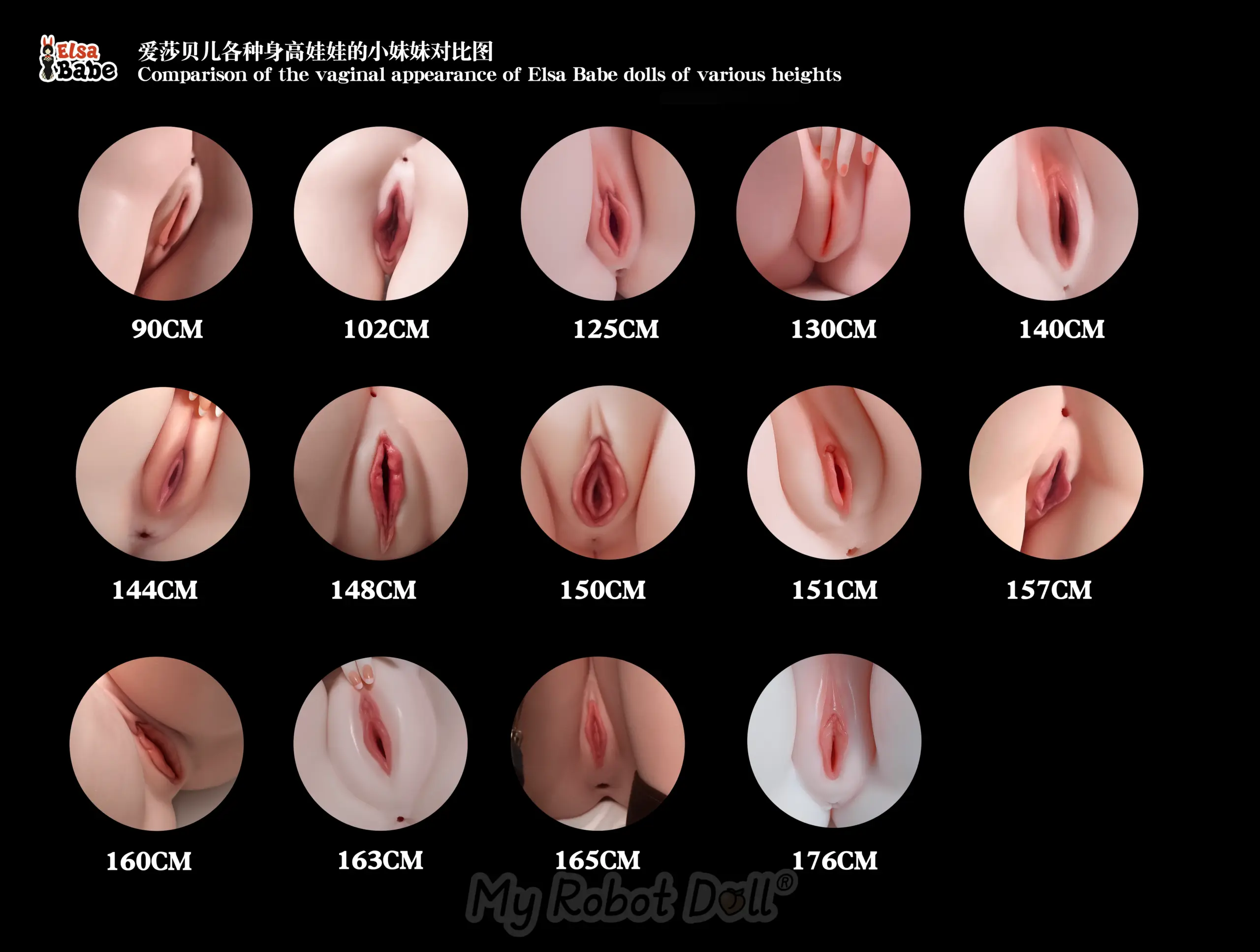 Comparison of the vaginal appearance of Elsa Babe dolls of various heights