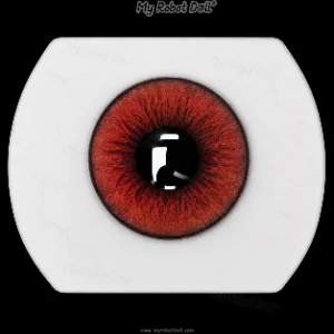 #6