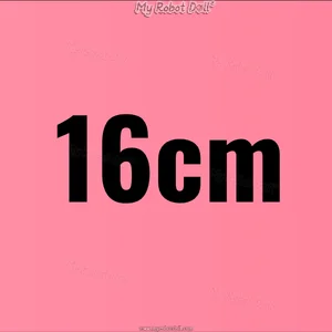 16cm