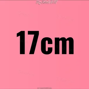 17cm