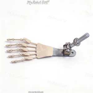 Articulated Toe Joints