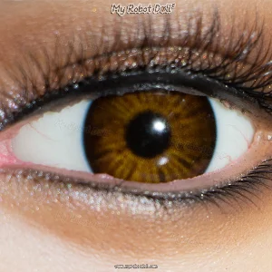 Y5 Light Brown