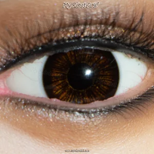 Y6 Dark Brown