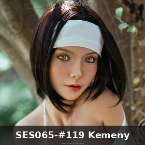 SES065-119-Kemeny