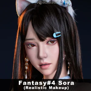 FG4-Sora